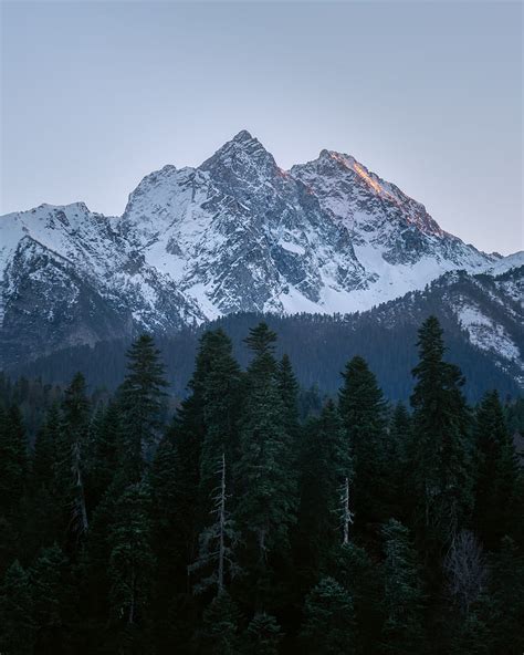 Mountain Peak Trees Pines Landscape Hd Phone Wallpaper Peakpx
