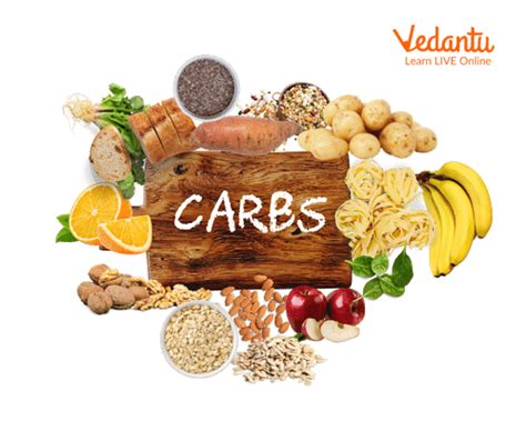 Learn About Carbohydrates And How They Help Our Body