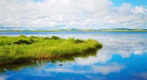 Free Download Lake Water Nature Landscape Clear Fresh Grass