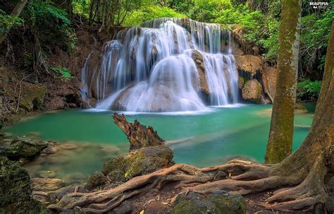 Waterfall Trees Viewes Lake Beautiful Views