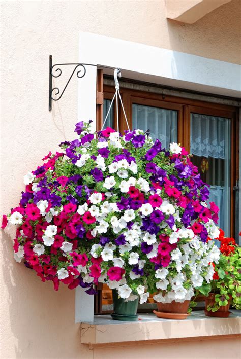 Fill your hanging flower baskets with the right plants and watch butterflies and hummingbirds flock to your garden or patio. 70 Hanging Flower Planter Ideas (PHOTOS and TOP 10) - Home ...