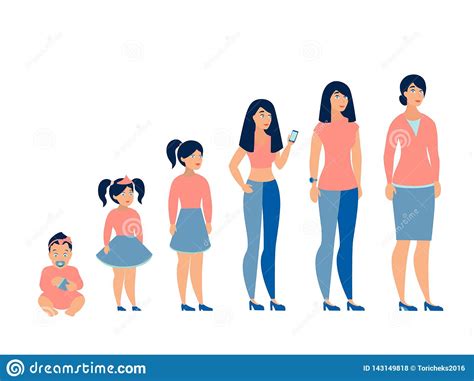 Stages Of Development Woman From Baby To Businesswoman Stock Vector