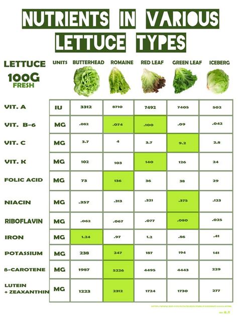 Aug 21, 2007 · there are 8 calories in 1 cup of shredded or chopped lettuce. After Reading This You Will Never Buy This Common ...