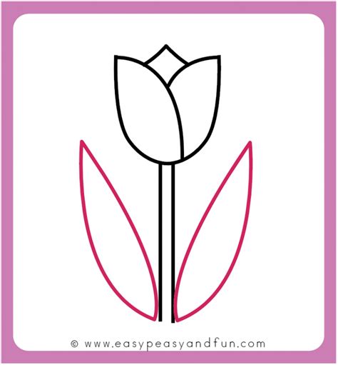 Tulip Drawing Easy Step By Step At Drawing Tutorials