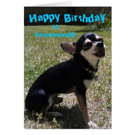 Chihuahua Singing Happy Birthday Greeting Card Zazzle