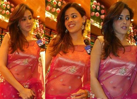 Genelia D Souza S Best Pictures Collection In Sexy Sarees Vantage Point