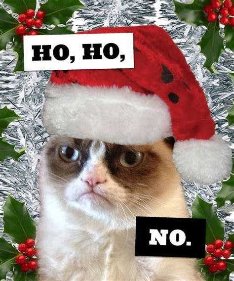 Check spelling or type a new query. 30-funny-christmas-memes-15-christmas-quotes | QuotesHumor.com