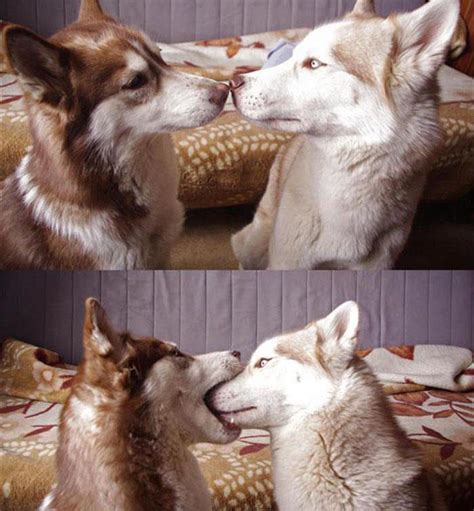 First Kiss Imgur