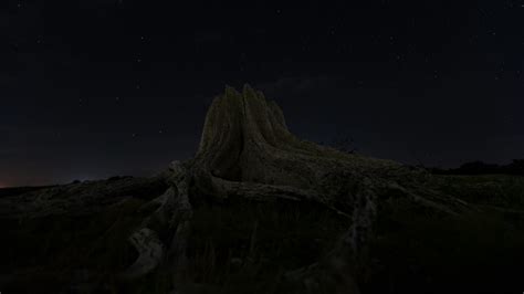 Tree And Starlight Landscape Night Image Free Stock Photo Public