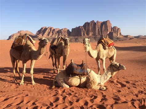 Thisworldexists Jordans Desert Bedouin Beautiful Lands Beautiful