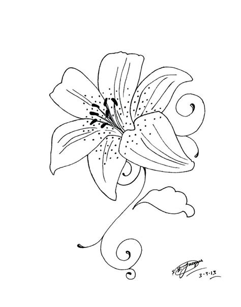 Lily Tattoo Outline Drawings Sketch Coloring Page