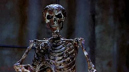 Scary Esqueleto Skeleton Horror Gifs Funny Film
