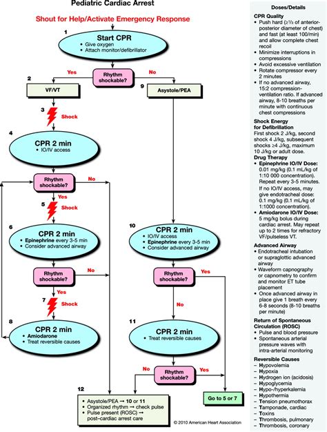 The post cardiac arrest care algorithm includes the following steps Part 14: Pediatric Advanced Life Support | Circulation