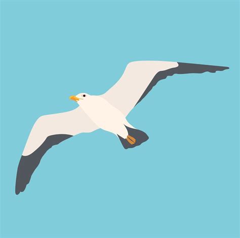 Cartoon Atlantic Seabird Seagulls Flying On Isolated White Background