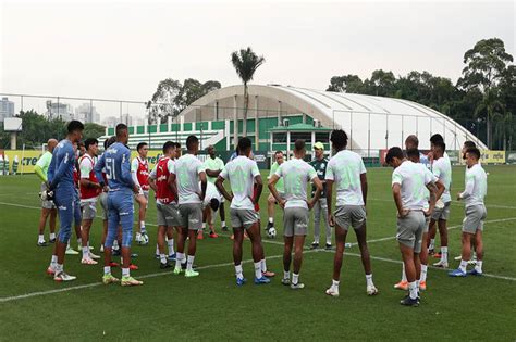 palmeiras inicia preparação para jogo contra o fortaleza