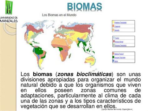 Caracteristicas De Los Biomas