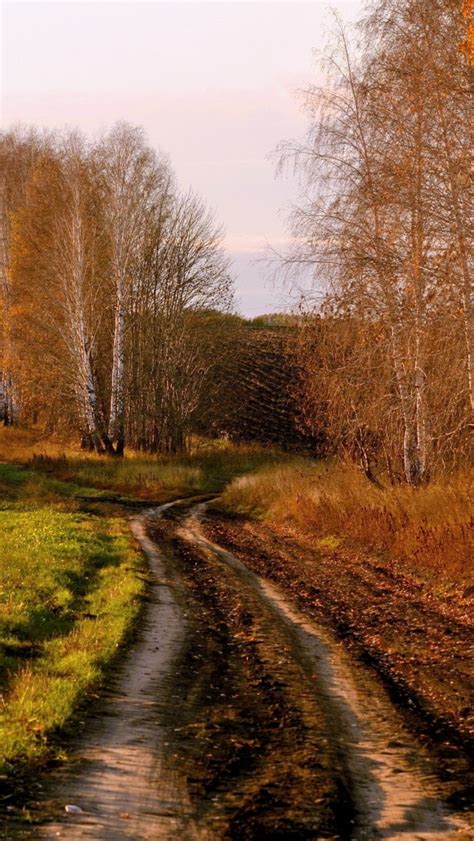640x1136 Country Road In Autumn Desktop Pc And Mac Wallpaper