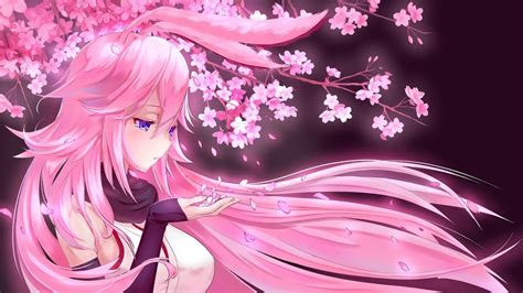 Anime Girl Pink Hair Cherry Blossom Yae Sakura Honkai