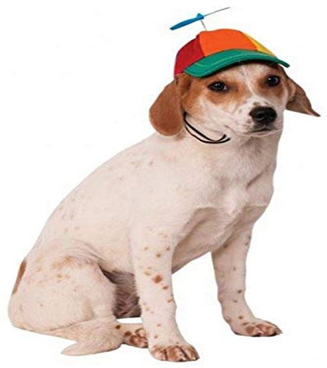 Dog Propeller Hat Ubicaciondepersonascdmxgobmx