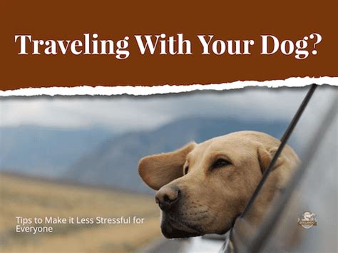 Tips For Traveling With Your Dog Doglando