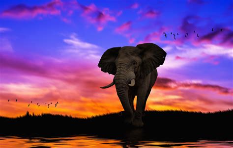 Elephant Painting Wallpapers Wallpaper Cave