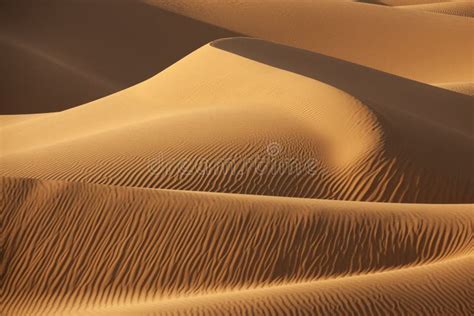 Desert Sand Close Up Stock Image Image Of Desert Dune 8073981