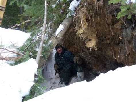 Shelters From Fallen Trees