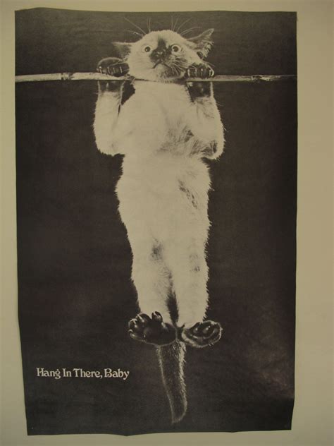 Hang in there, baby is a popular catchphrase and motivational poster. Pix For > Hang In There Baby 1970s | Cat posters, Hang in ...