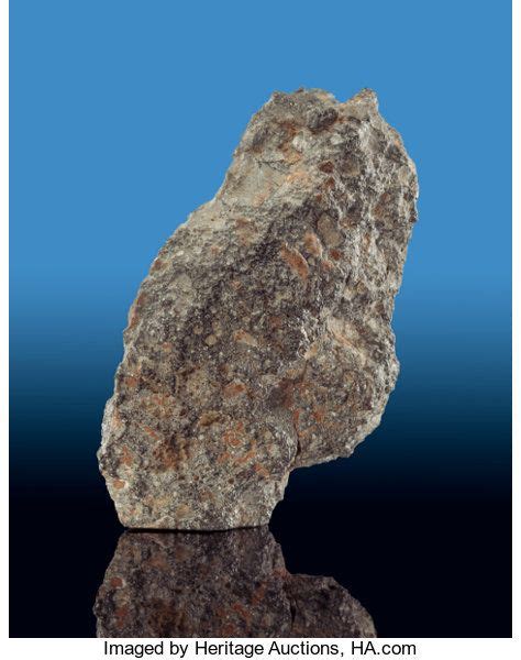 Meteoriteslunar Lunar Meteorite Nwa 10986 Impact Melt Breccia