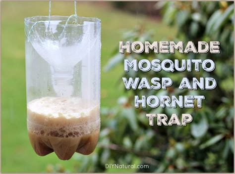 Homemade Mosquito Trap Make Homemade Wasp And Mosquito Traps Wasp Traps Homemade Wasp Trap