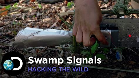 Swamp Signals Hacking The Wild Youtube