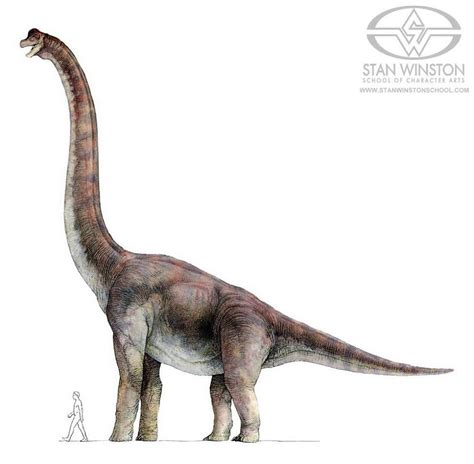 Jurassic Park Concept Art Brachiosaurus Alt By Indominusrex On