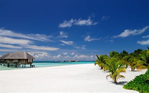 Island Landscape Maldives Sand Resort Palm Trees Tropical Summer
