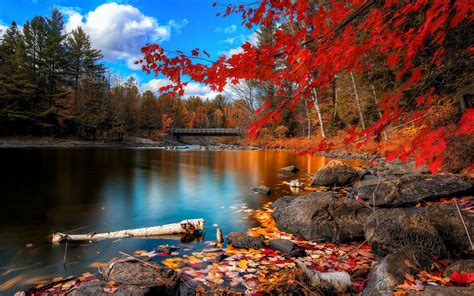 Apple Macbook Pro Wallpaper With Nature Autumn Forest And River Picture
