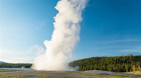 old faithful in yellowstone national park tours and activities expedia