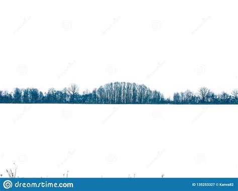 Winter Field And Forest Stock Image Image Of Snowcovered 135253327