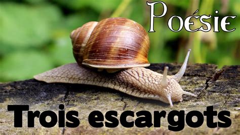 Poésie 🐌 Trois escargots (3 escargots) de Maurice Carême 🐌 - YouTube