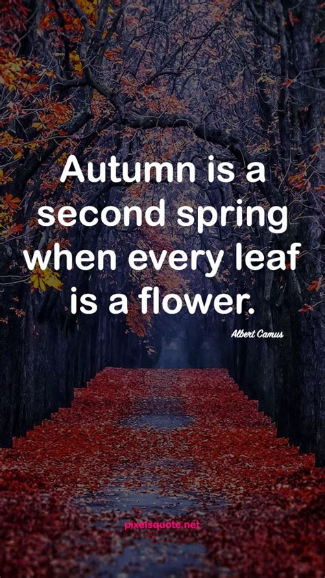 Fall Quotes About Leaves Quotes Me