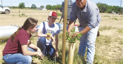 High Schools Rodgers Ranch Welcomes New Walnut Orchard Corning