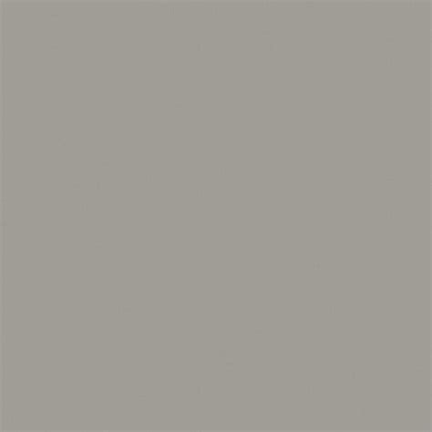 Wilsonart® laminate looks great in any setting and combines the best of design, durability and value in a surfacing material created to withstand years of use. Wilsonart Standard 36-in W x 144-in L Dove Grey Laminate ...
