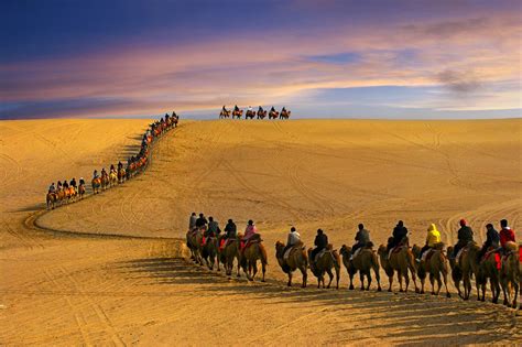 Silk Route Caravan