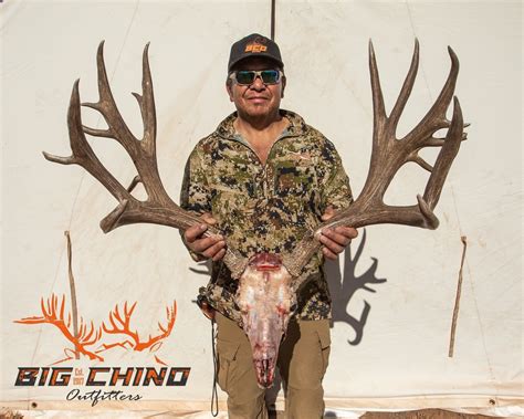 Arizona Trophy Hunting Outfitter And Guide Service Big Chino Outfitters