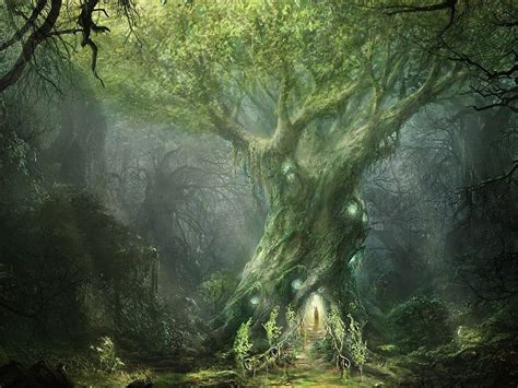Artwork Fantasy Magical Art Forest Tree Landscape Nature Wallpaper