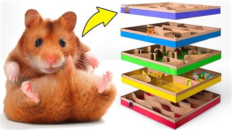 Amazing Diy 5 Level Maze For Active Hamsters 🐹 Youtube