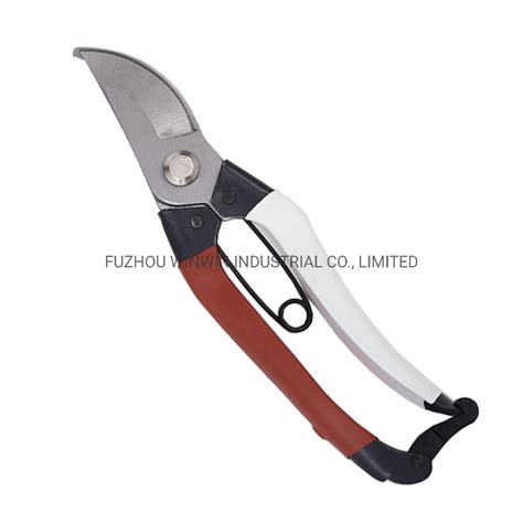 We did not find results for: China Professional 200mm Pruning Scissor Garden Tool ...