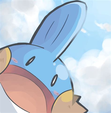 Free Mudkip Profile Pic By Wile Z On