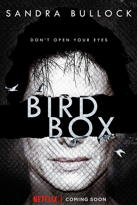 A woman and a pair of children are blindfolded and make their way through a dystopian setting. Second Trailer for Netflix's Survival Film 'Bird Box' with ...