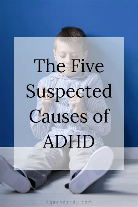 What Causes Adhd Causes Of Autism Attention Disorder Adhd Facts