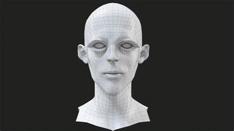 3d model william realistic model of male head vr ar low poly cgtrader
