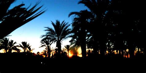 Sunset In Tunisia Tunesien